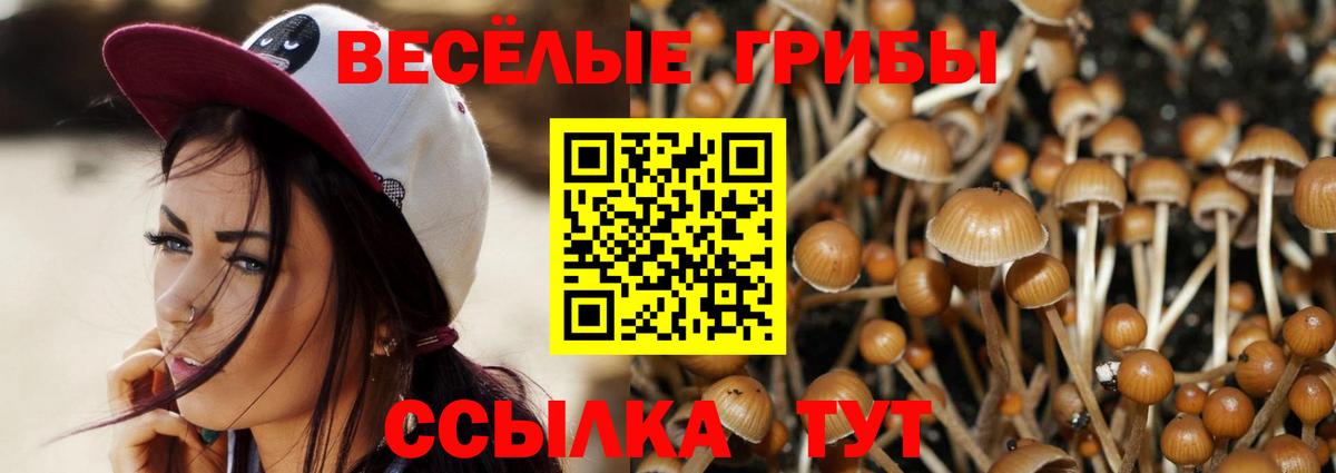 Галлюциногенные грибы Magic Shrooms  Вход с VPN  Сочи 